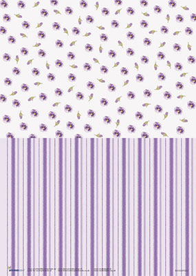 knipvellen/achtergronden/basis vellen/BASISBIRD05.jpg